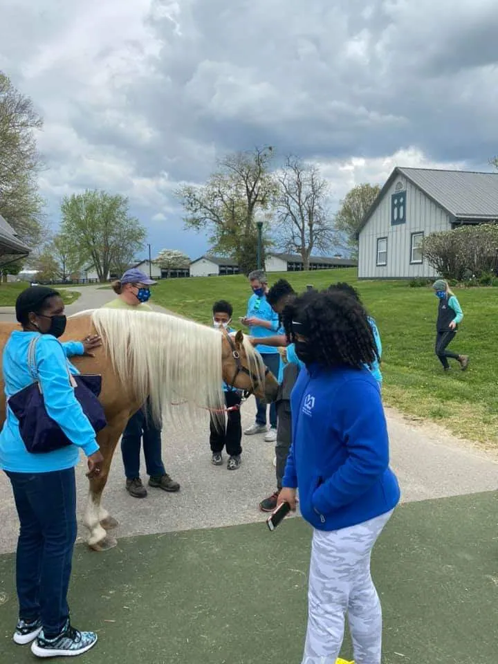 Legacy Equine Academy students during a programme visit (11 of 32)
