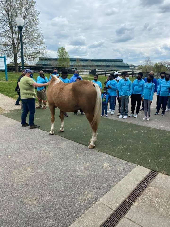 Legacy Equine Academy students during a programme visit (21 of 32)